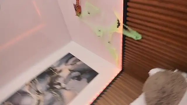 Tamy_Rose1