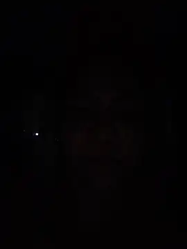Dalessa_Bigtits