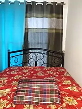 Nepali_bulbul