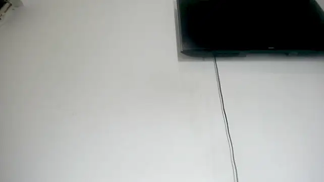 Fox_Loves