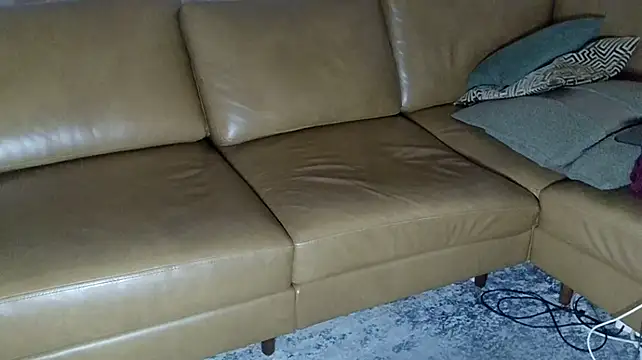 DressSock_Shoe