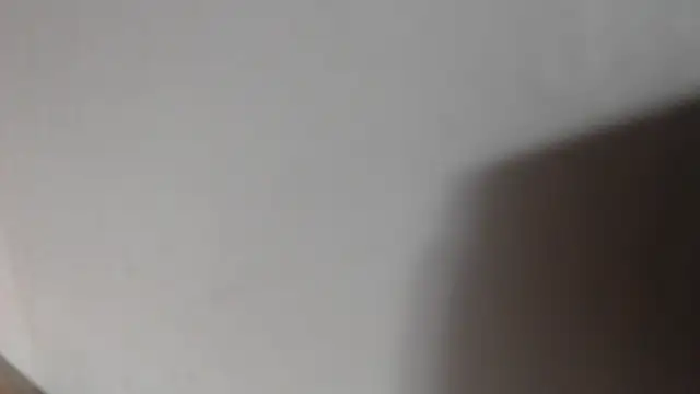 alexam_gal@xh
