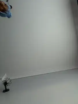 bestahadi webcam