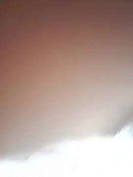 Ross_hot0
