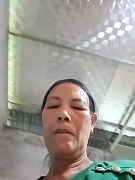 toyo_668