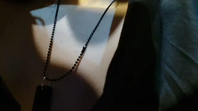3littles webcam