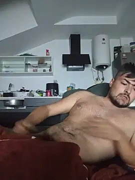 vicenmesa
