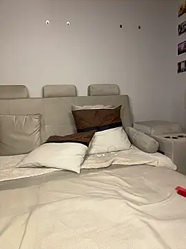 josefa_projet webcam
