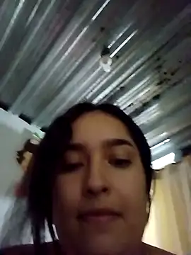 Shelsy