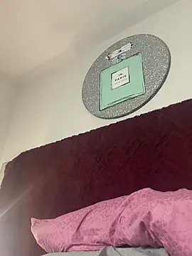 bellababycams