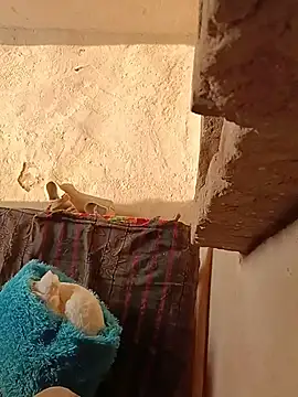 Miss_Shabnam1
