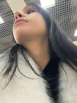 VendiMur