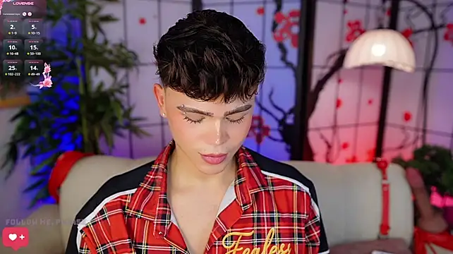 PRINCE_STEV