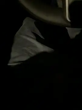 MetaDaddy