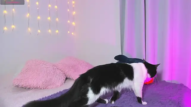 karly_rioss