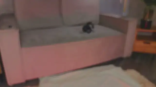 Sofi_Conner