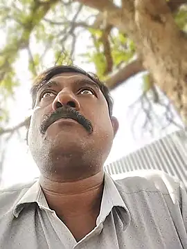 ApposedBearingtamilnadu webcam