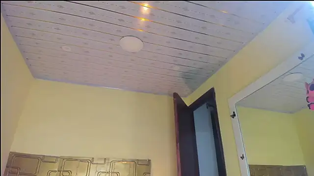 Julia_Haye