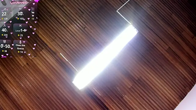Vanes_hontter
