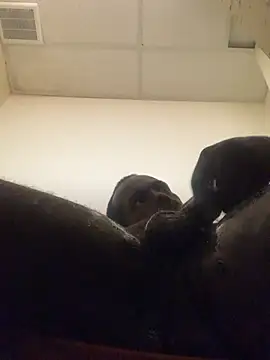 hustle540 (Ask my age) - Bust  Quick Nut💦💦💦