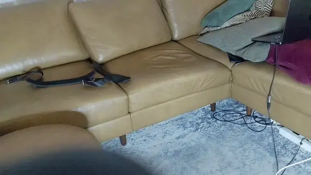 DressSock_Shoe