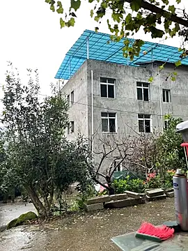 Lajiao-55