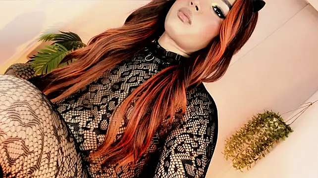 misstreslatin live cam on StripChat