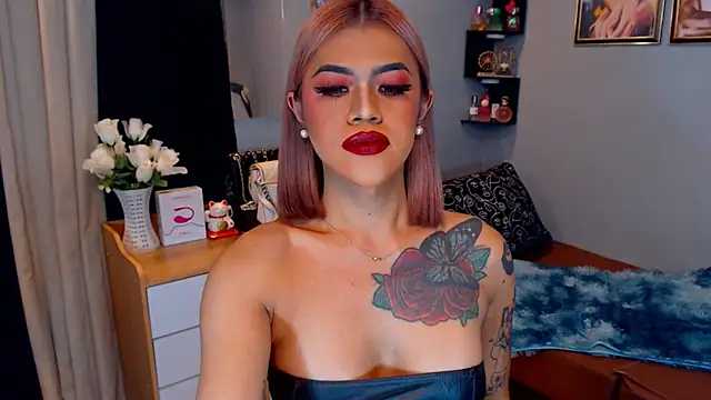 StellaStrong30 webcam