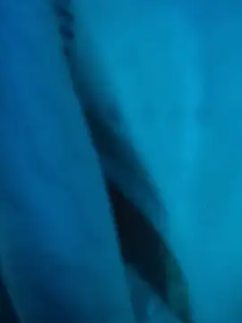 Monika_thakurr