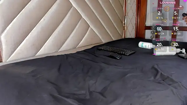KaelSoft_ webcam