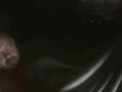 webcam live sex Vibe420630