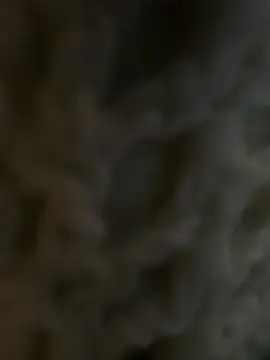 LilMissKaos
