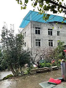 Lajiao-55