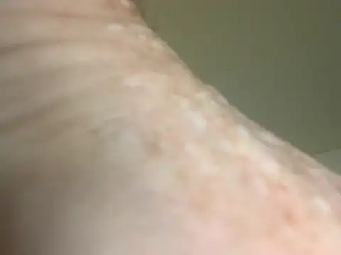 TNchubb live webcam