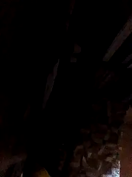 Tbonedick2003
