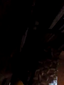Tbonedick2003 on Stripchat