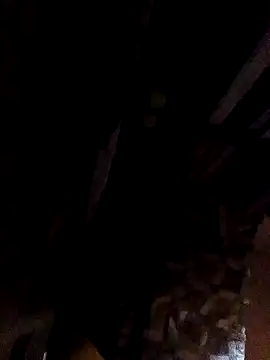 Tbonedick2003 live cam on StripChat
