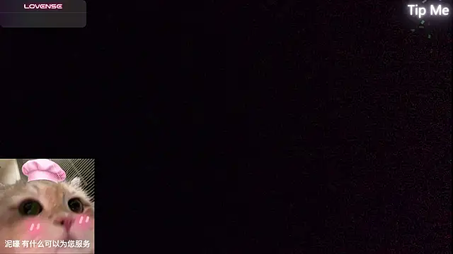 jdbdb- live cam on StripChat