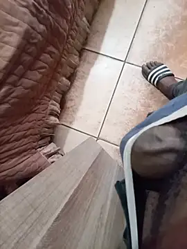 Thhdst live cam preview