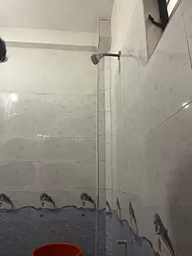 nodiingscropin live cam preview