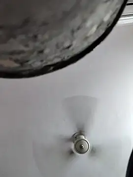 Nikolas_top