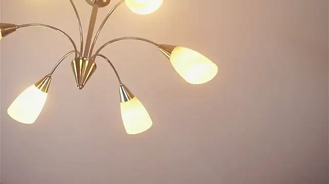 carmellasearle's live room