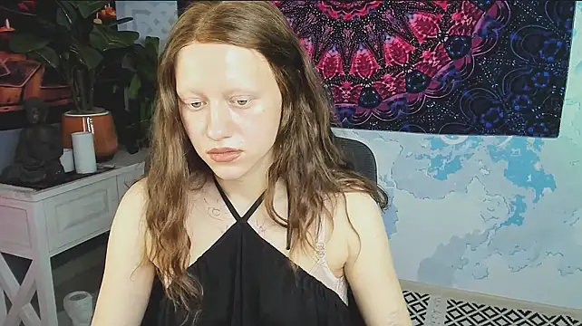 LidaDarknet