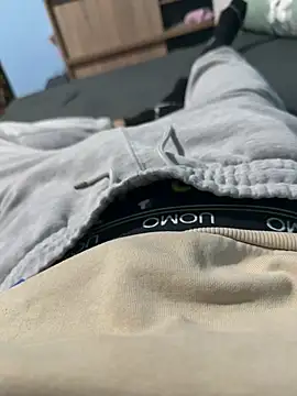 donkeyteam live cam preview