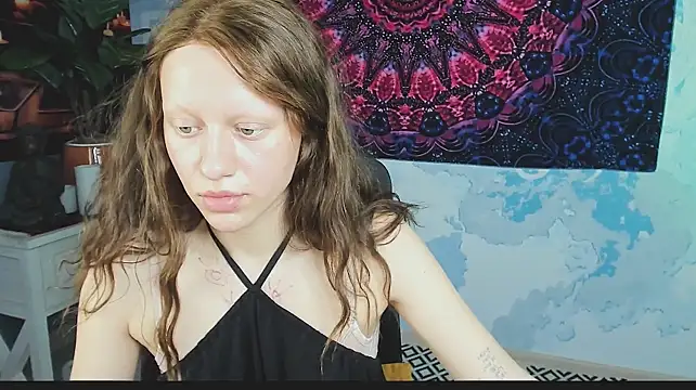 LidaDarknet