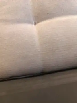 misterBigDick19