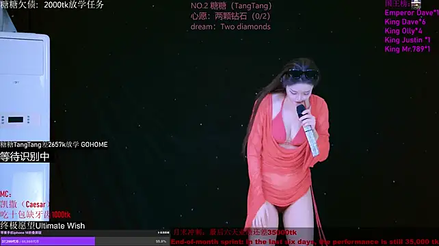 CCTW-100 webcam