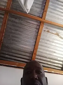 WiseDi