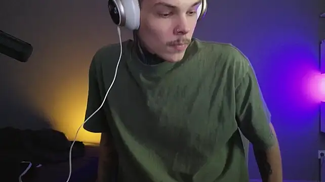 DENIS_HERE webcam