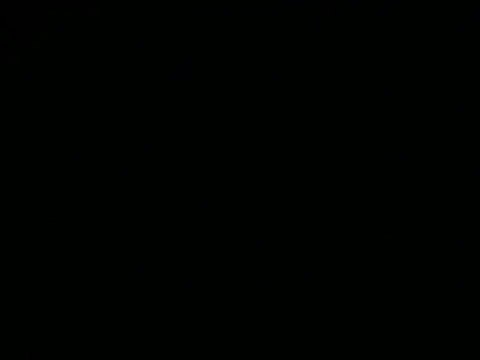 Bellanights2